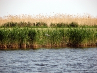 Fertőd-Hanság Nemzeti park